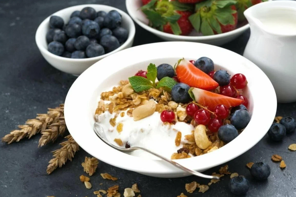 https://goldxtop.com/choosing-the-best-dried-yogurt-for-your-lifestyle-tips-from-heme-food.html