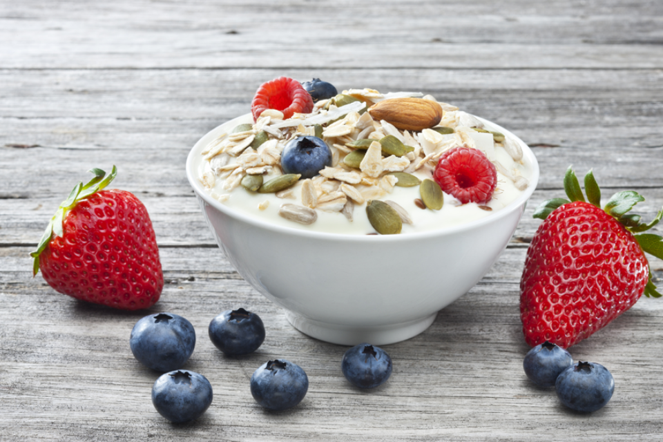 https://goldxtop.com/choosing-the-best-dried-yogurt-for-your-lifestyle-tips-from-heme-food.html